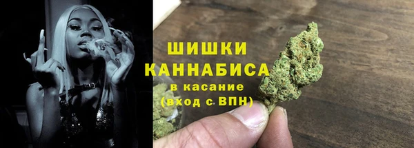 дмт Горнозаводск