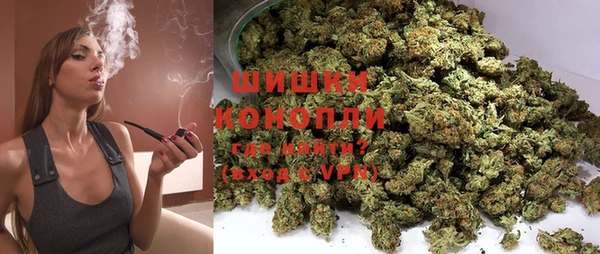 сатива Горно-Алтайск