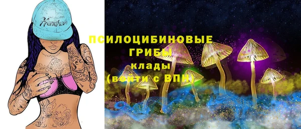 дмт Горнозаводск