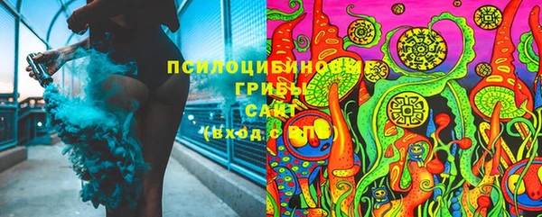 дмт Горнозаводск