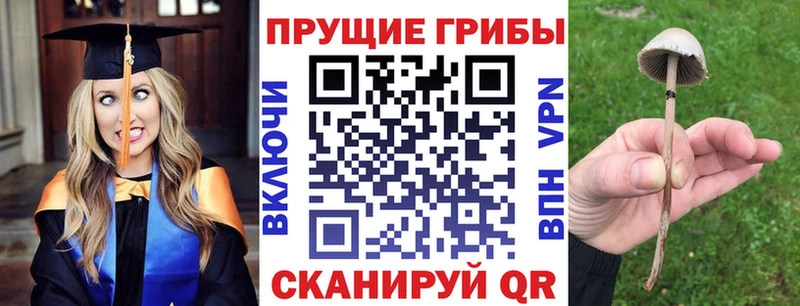 где купить   shop клад  Псилоцибиновые грибы GOLDEN TEACHER  Ковров 